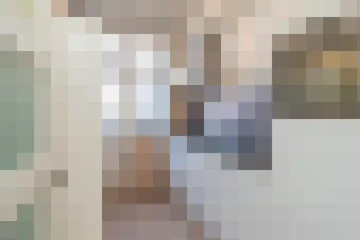 Spiraeastraat 9 Den Haag thumbnail 5