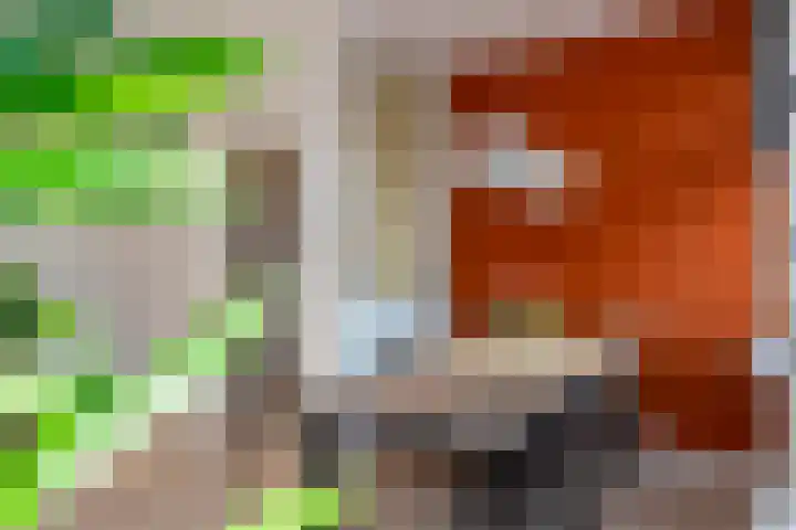 Spiraeastraat 9 Den Haag thumbnail 6