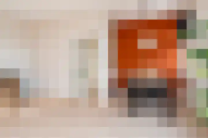 Spiraeastraat 9 Den Haag thumbnail 7