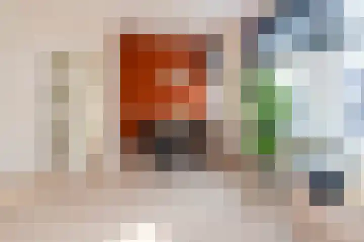 Spiraeastraat 9 Den Haag thumbnail 8