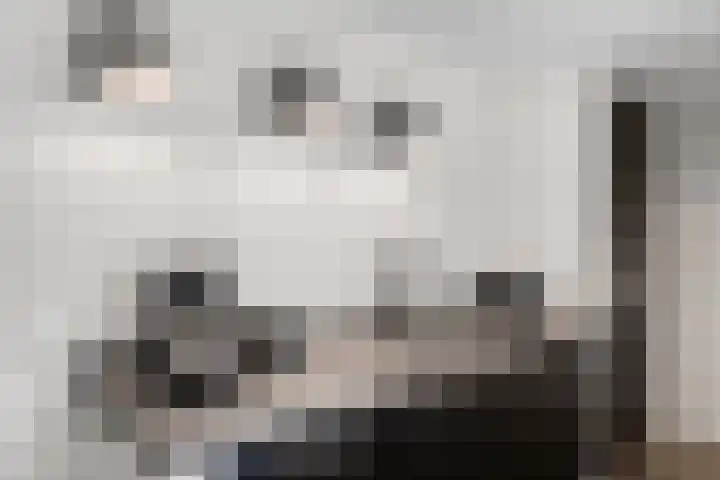 Spiraeastraat 9 Ederveen thumbnail 17