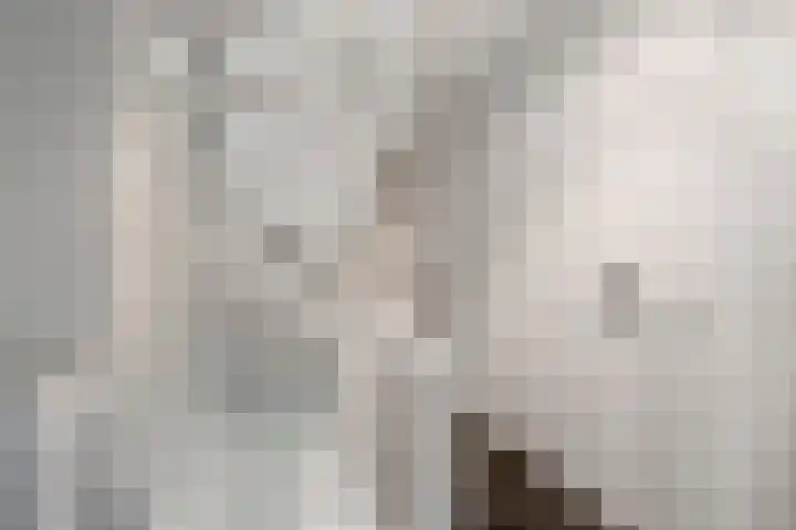 Spiraeastraat 9 Ederveen thumbnail 25