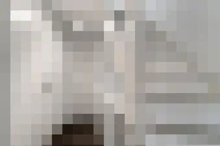 Spiraeastraat 9 Ederveen thumbnail 26