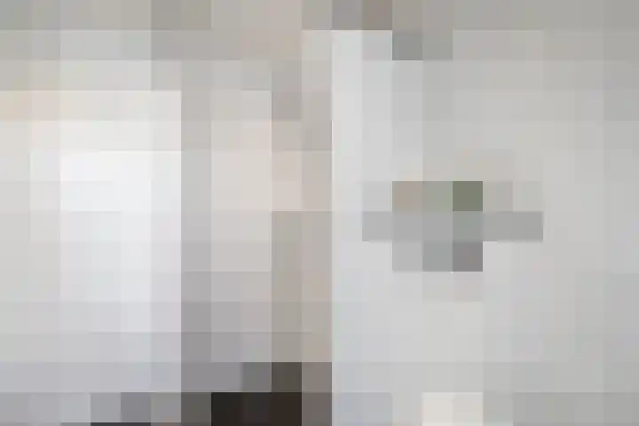 Spiraeastraat 9 Ederveen thumbnail 41