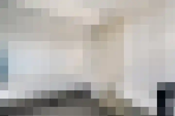 Spiraeastraat 9 Ederveen thumbnail 43
