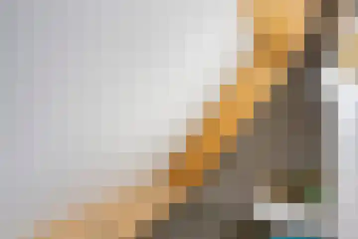 Spiraeastraat 9 Ederveen thumbnail 47