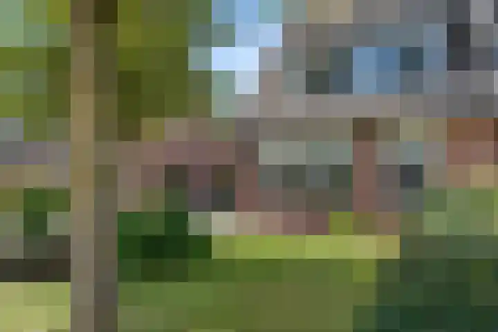 Spiraeastraat 9 Ederveen thumbnail 49