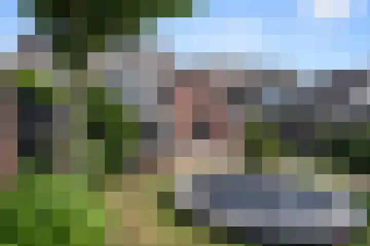Spiraeastraat 9 Ederveen thumbnail 53