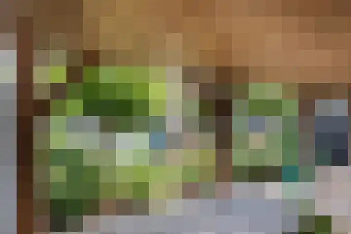Spiraeastraat 9 Ederveen thumbnail 58