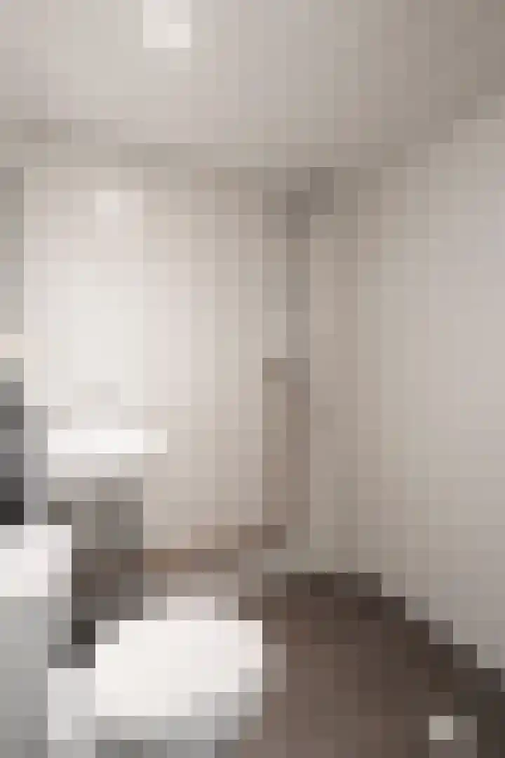 Spiraeastraat 9 Ederveen thumbnail 61