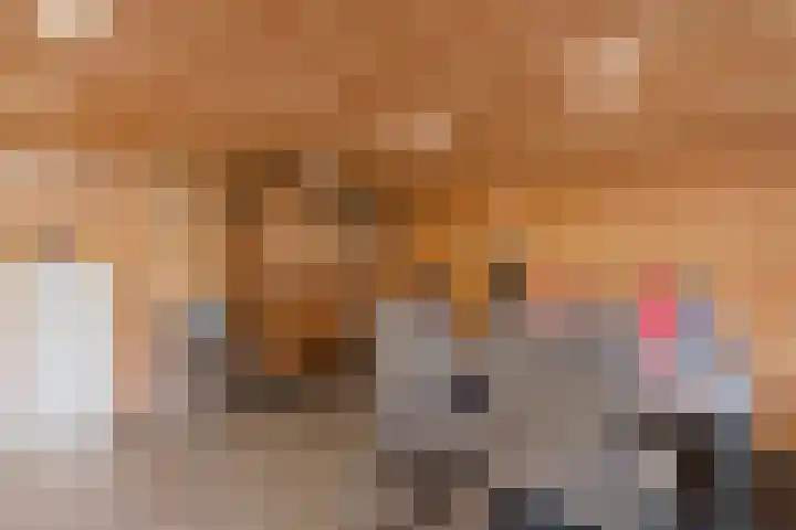 Spiraeastraat 9 Ederveen thumbnail 63