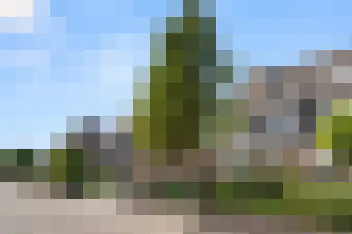 Spiraeastraat 9 Ederveen thumbnail 66