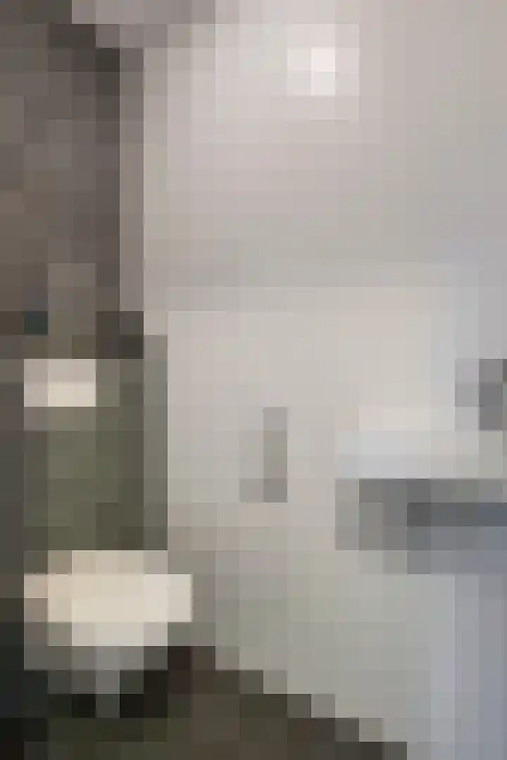 Spiraeastraat 9 Ederveen thumbnail 8