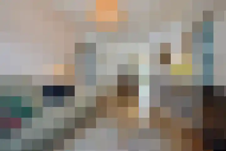 Spiraeastraat 96 Den Haag thumbnail 12