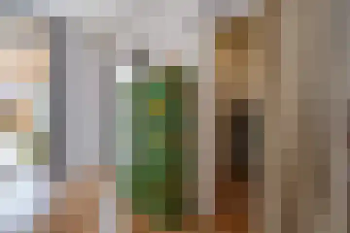 Spiraeastraat 96 Den Haag thumbnail 14