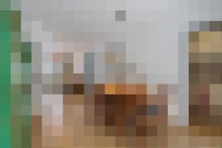 Spiraeastraat 96 Den Haag thumbnail 15