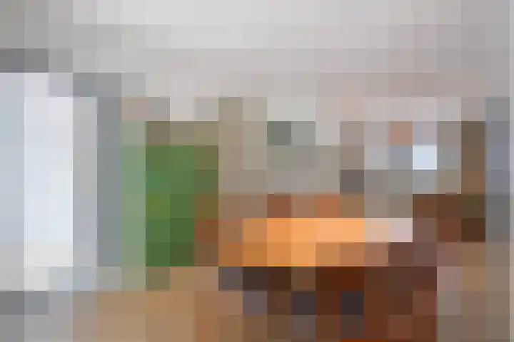 Spiraeastraat 96 Den Haag thumbnail 16