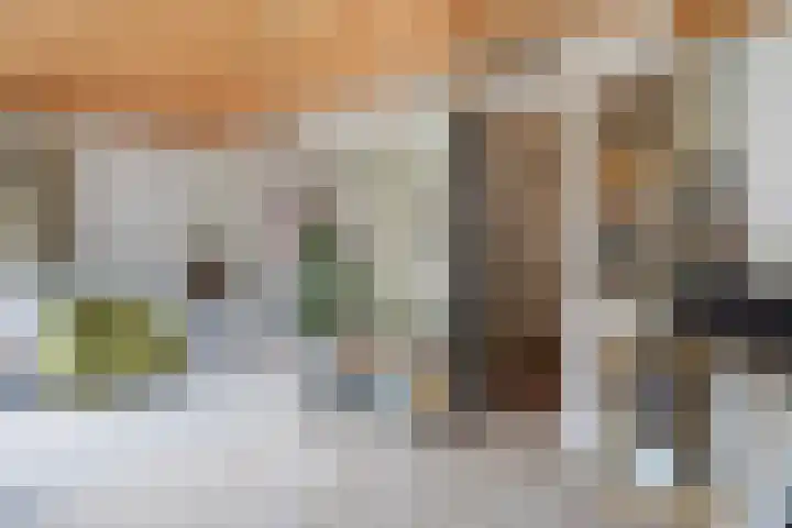 Spiraeastraat 96 Den Haag thumbnail 21
