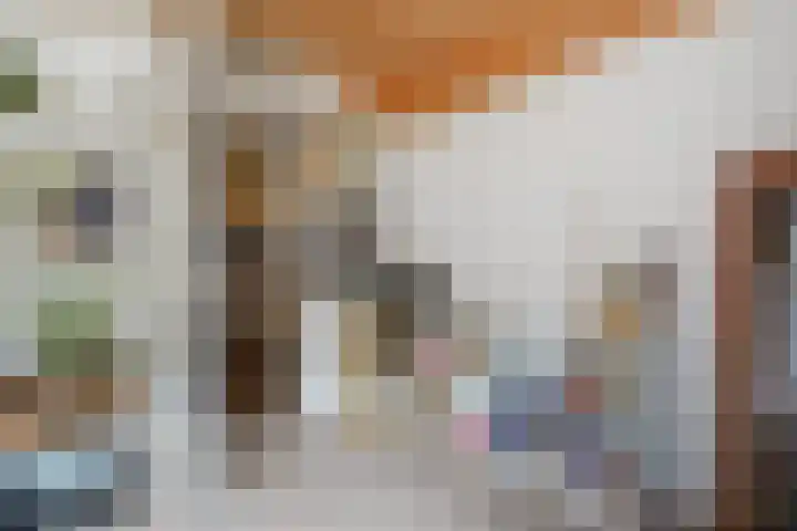 Spiraeastraat 96 Den Haag thumbnail 22