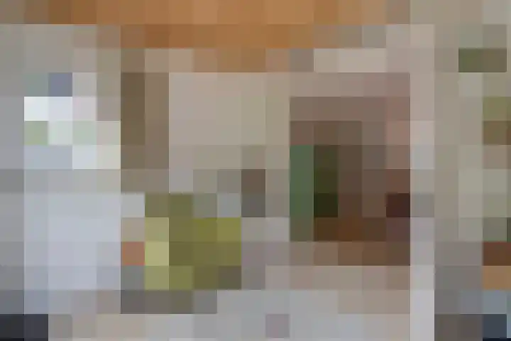 Spiraeastraat 96 Den Haag thumbnail 23