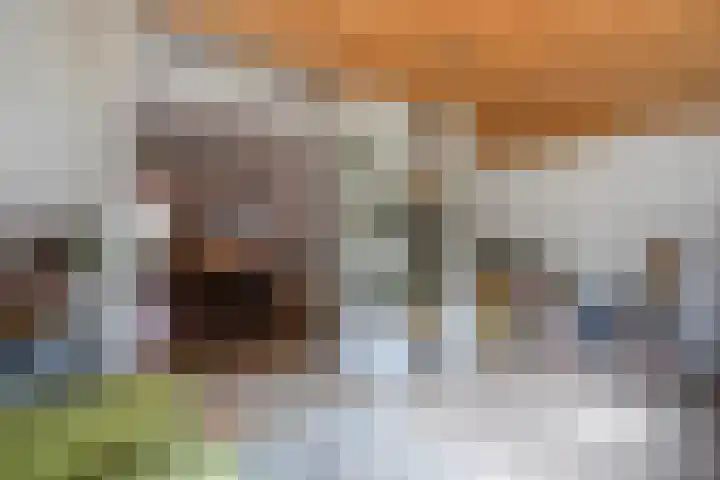 Spiraeastraat 96 Den Haag thumbnail 24