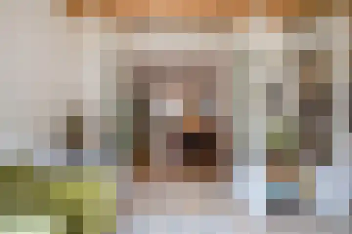 Spiraeastraat 96 Den Haag thumbnail 25