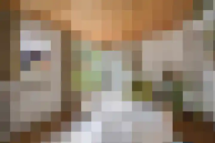 Spiraeastraat 96 Den Haag thumbnail 26