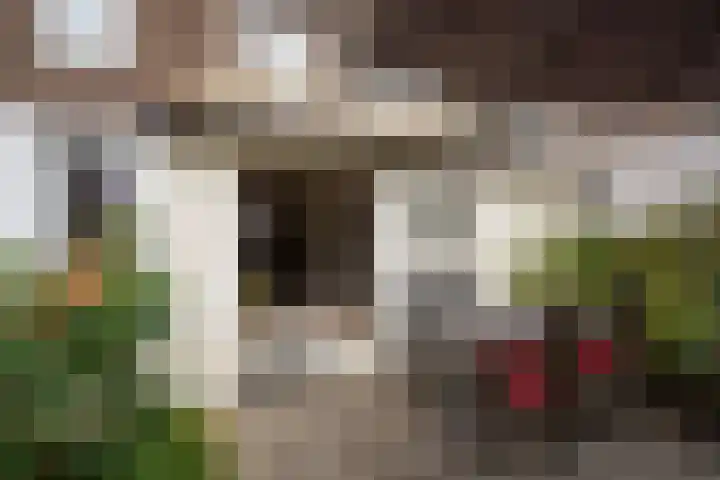 Spiraeastraat 96 Den Haag thumbnail 29