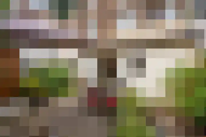 Spiraeastraat 96 Den Haag thumbnail 30