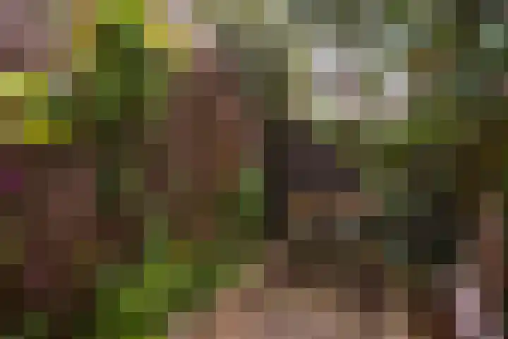 Spiraeastraat 96 Den Haag thumbnail 31
