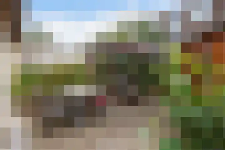 Spiraeastraat 96 Den Haag thumbnail 32