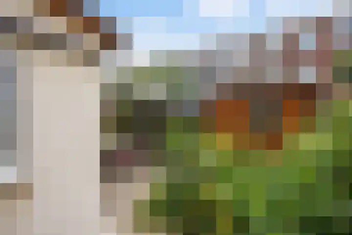 Spiraeastraat 96 Den Haag thumbnail 34
