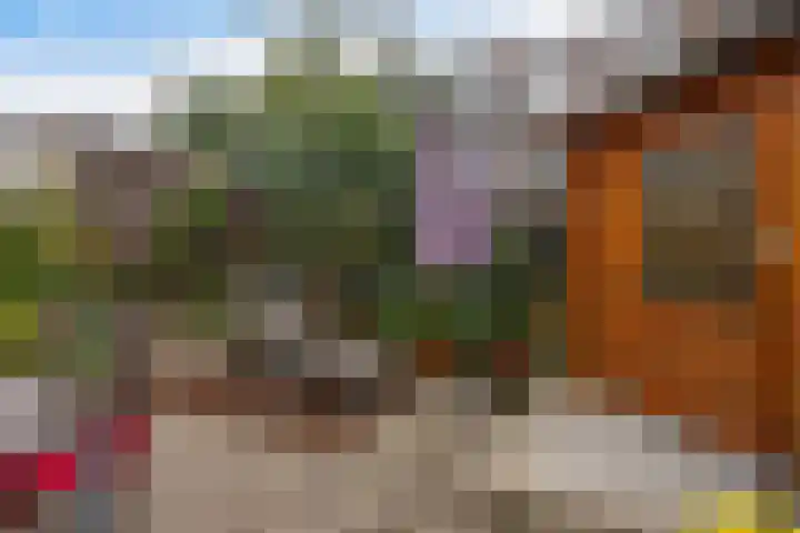 Spiraeastraat 96 Den Haag thumbnail 35