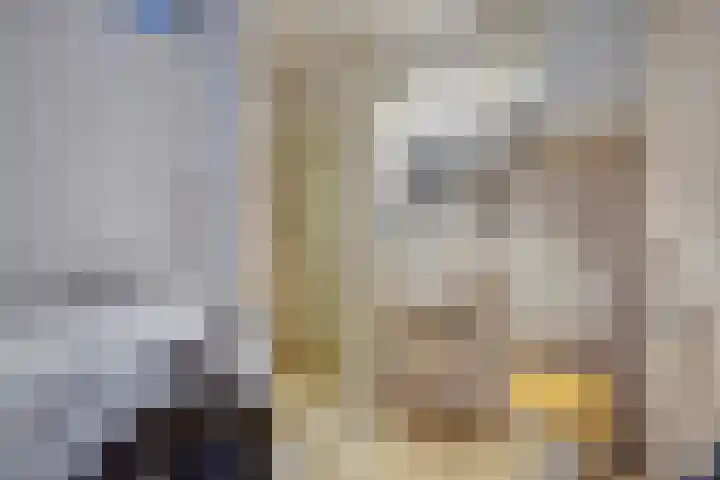 Spiraeastraat 96 Den Haag thumbnail 40