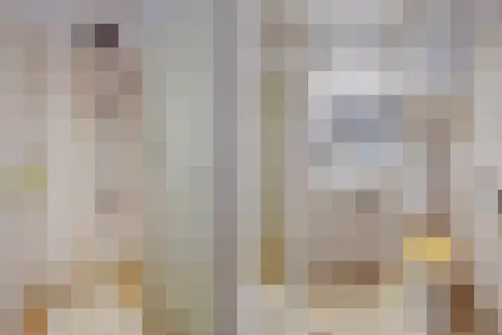 Spiraeastraat 96 Den Haag thumbnail 42