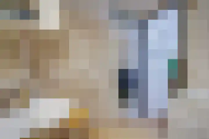 Spiraeastraat 96 Den Haag thumbnail 44