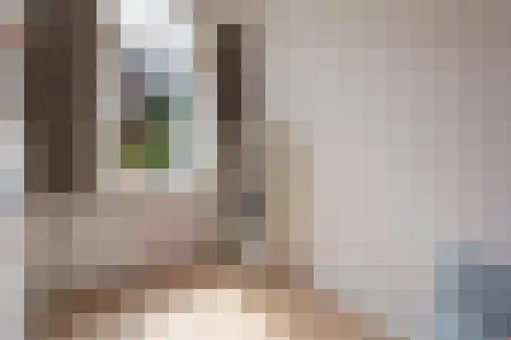 Spiraeastraat 96 Den Haag thumbnail 47