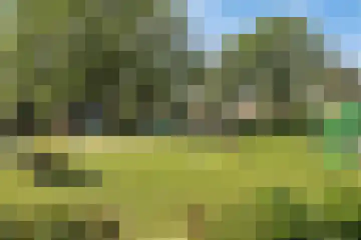 Spiraeastraat 96 Den Haag thumbnail 51
