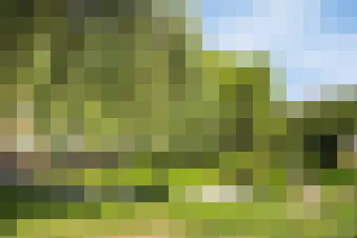Spiraeastraat 96 Den Haag thumbnail 52