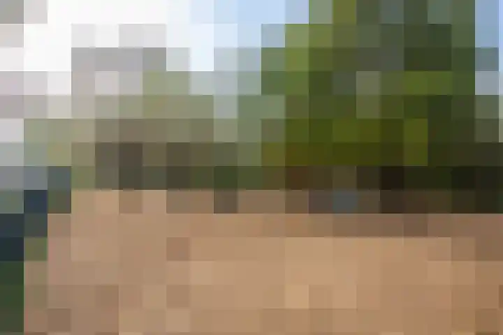 Spiraeastraat 96 Den Haag thumbnail 53