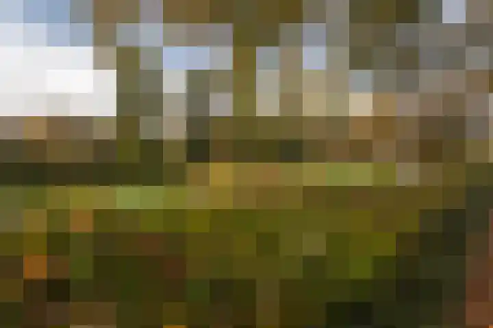 Spiraeastraat 96 Den Haag thumbnail 54