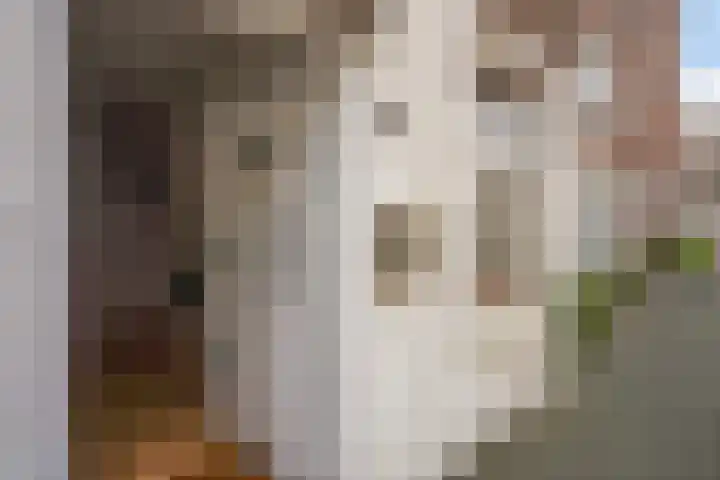 Spiraeastraat 96 Den Haag thumbnail 6