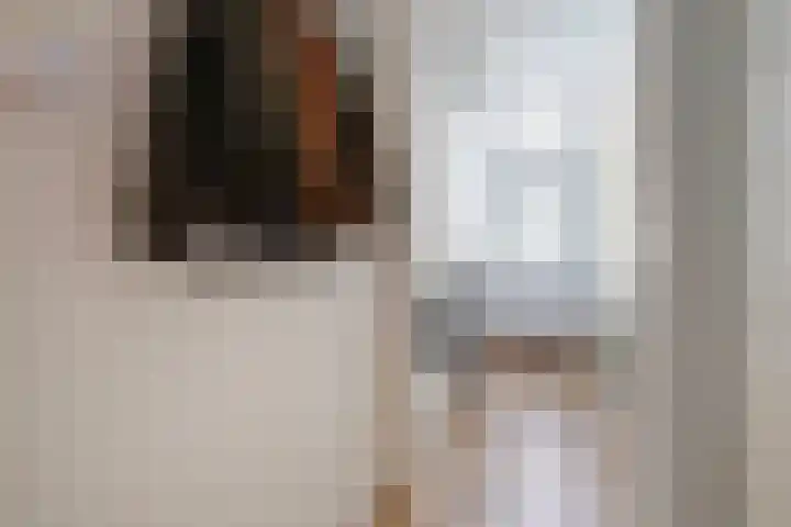 Spiraeastraat 96 Den Haag thumbnail 7