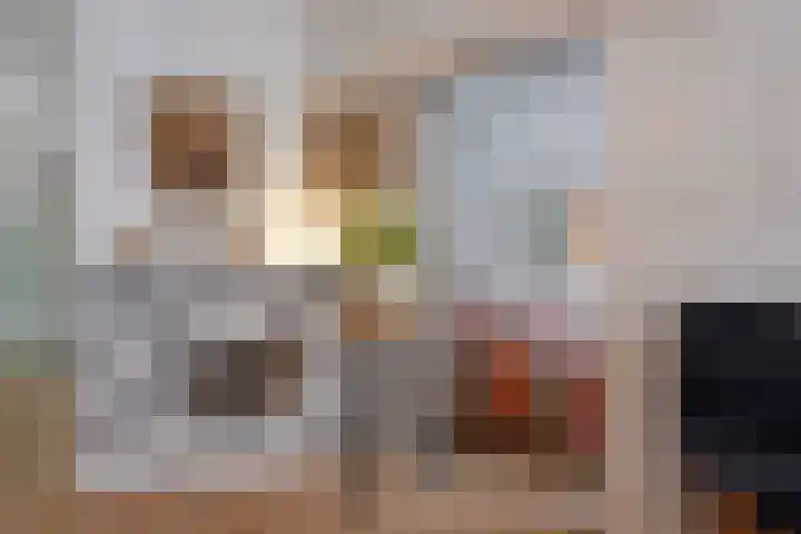 Spiraeastraat 96 Den Haag thumbnail 8