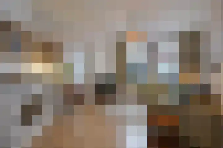 Spiraeastraat 96 Den Haag thumbnail 9