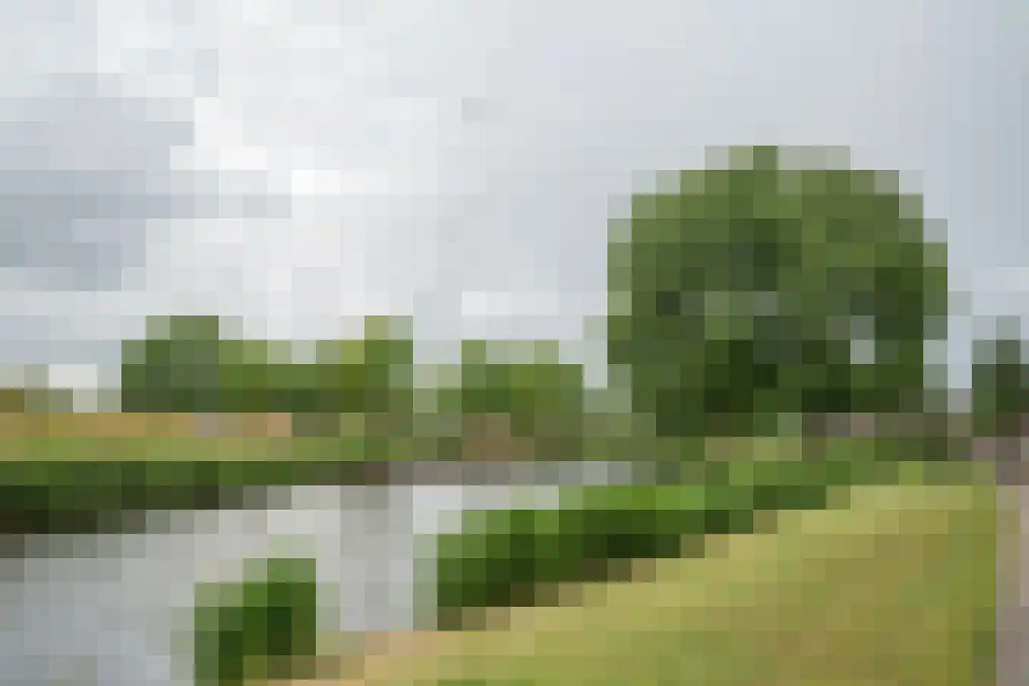 Spirea 7 Nootdorp thumbnail 39