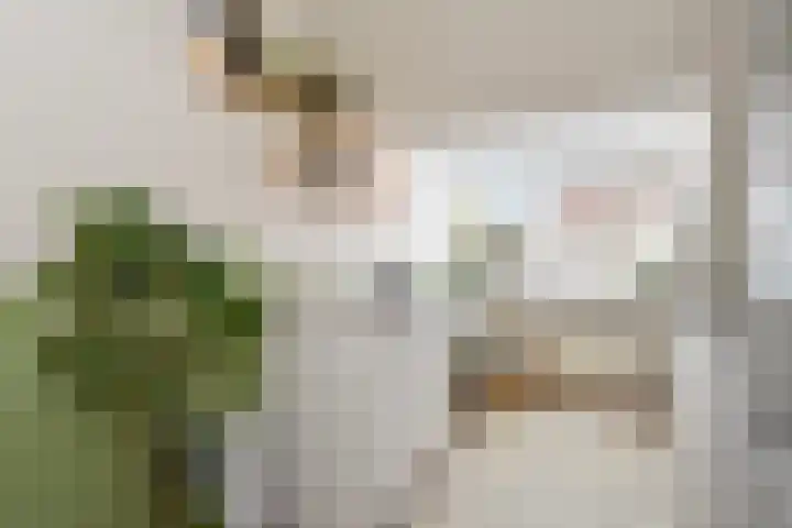 Spirea 9 Nootdorp thumbnail 22
