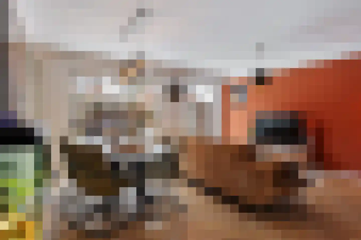 Spireadreef 3 Bleiswijk thumbnail 12