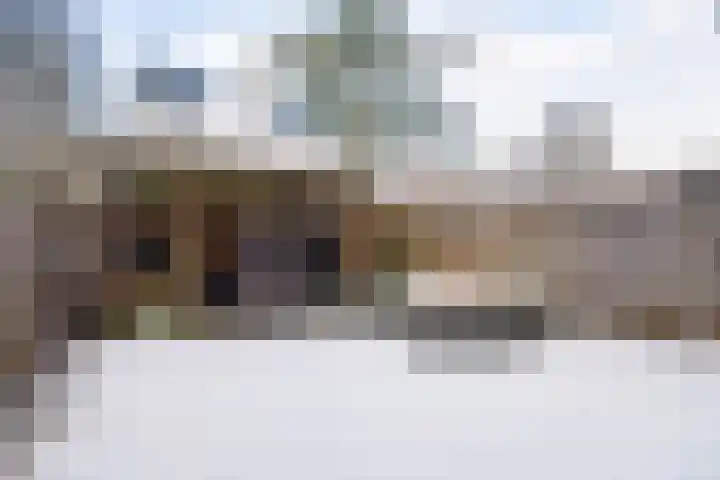 Spireadreef 3 Bleiswijk thumbnail 13