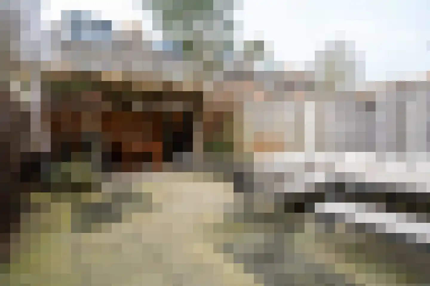 Spireadreef 3 Bleiswijk thumbnail 13